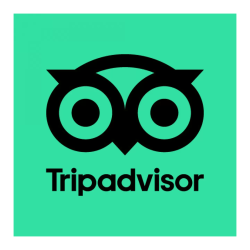 tripadvisor